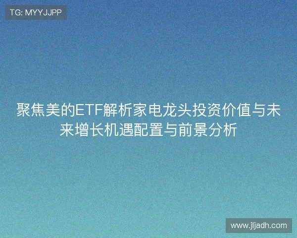 聚焦美的ETF解析家电龙头投资价值与未来增长机遇配置与前景分析